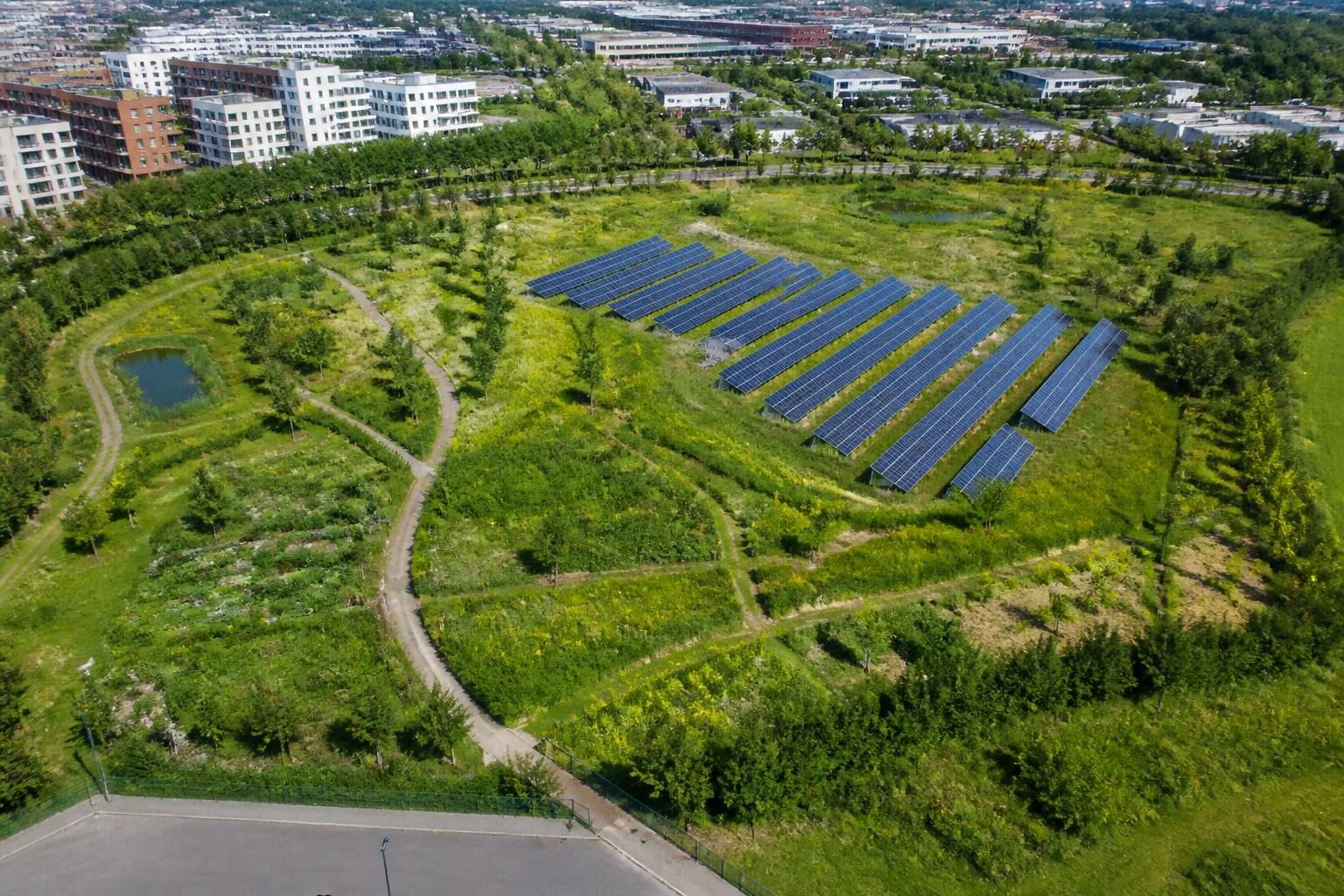 découvrez la transformation rapide d'une ancienne déchetterie en un luxuriant champ verdoyant, alliant écologie et renouveau paysager.