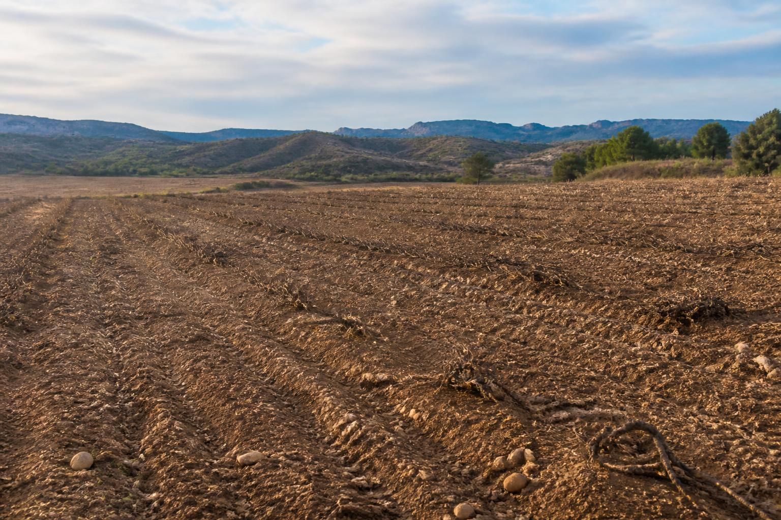 découvrez comment le village d'albas, dans les corbières, fait face au déclin du tourisme et aux conséquences dramatiques sur ses vignobles, avec l'arrachage massif des vignes.