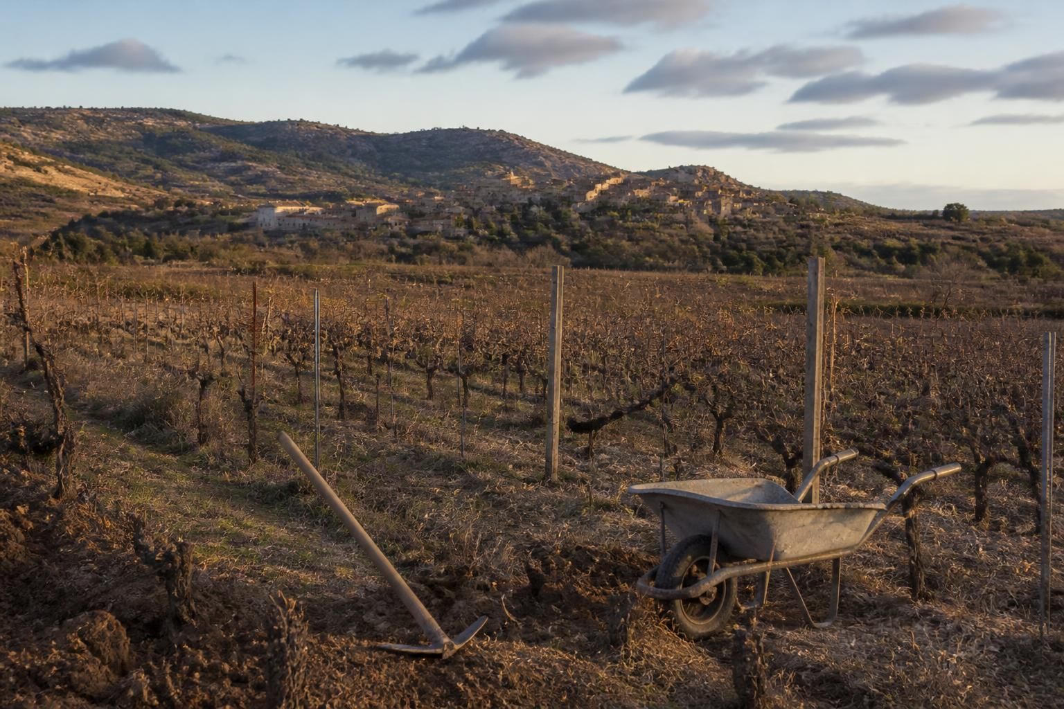 découvrez comment le village d'albas, dans les corbières, fait face au déclin du tourisme et à l'arrachage des vignes, un défi pour l'économie locale et le patrimoine viticole.