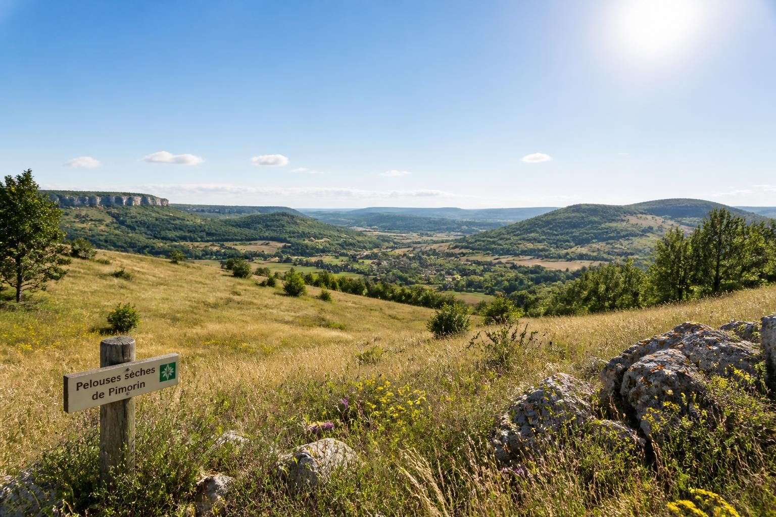 pimorin : une association lance une action juridique pour s'opposer au projet de parc photovoltaïque sur les pelouses sèches, soulignant l'impact environnemental.