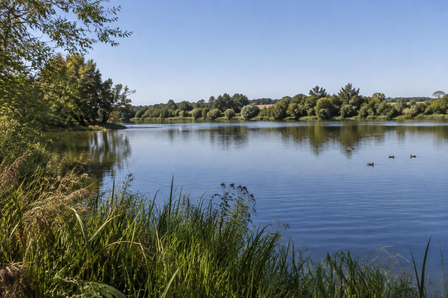 au lac du dagour, la mobilisation se poursuit pour préserver le site et défendre son avenir face aux menaces qui pèsent sur lui.
